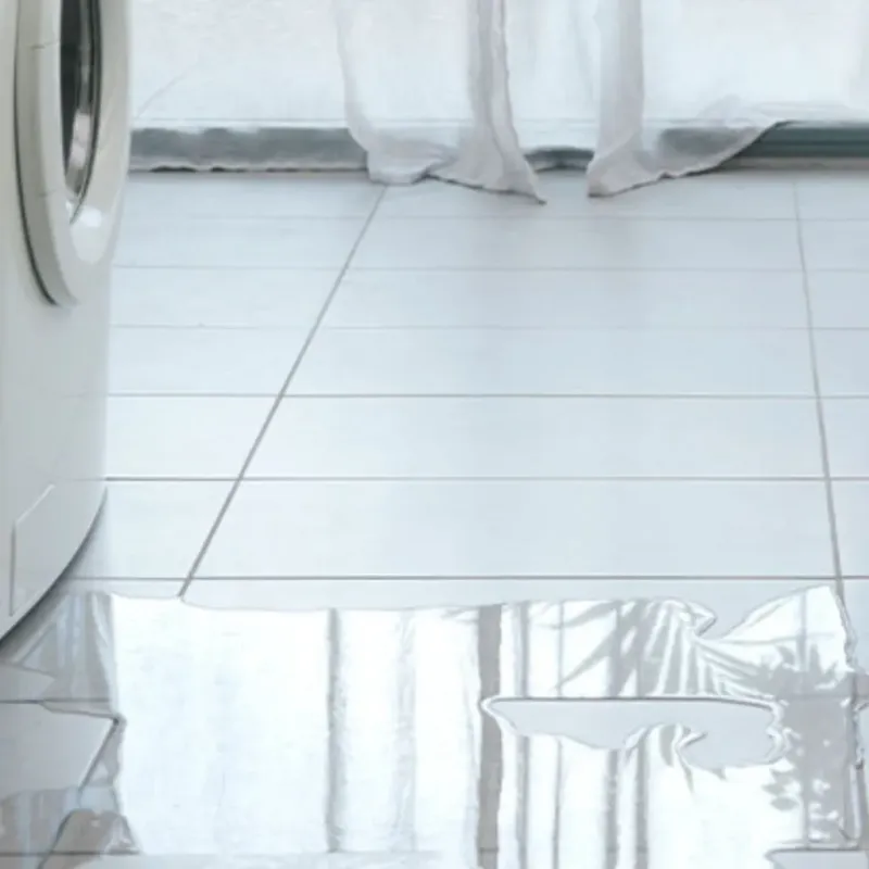 Appliance Leak Cleanup in South Alamo, TX