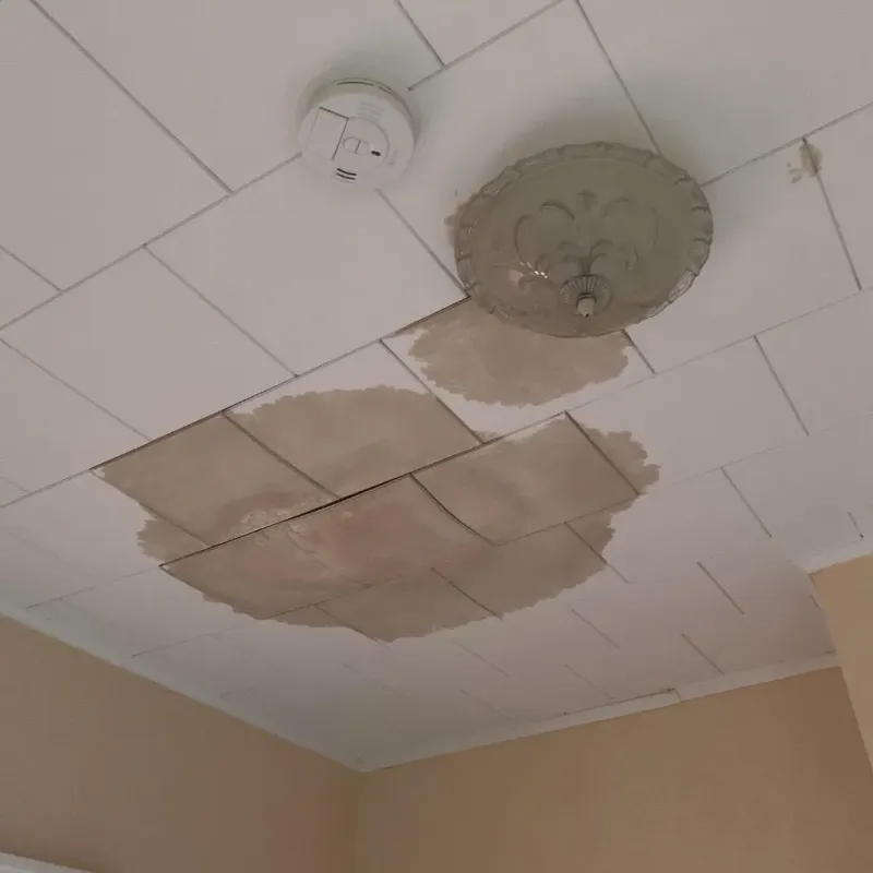 Ceiling Water Damage Repair in South Alamo, TX
